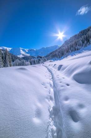 Praz-Sur-Arly, Image 5