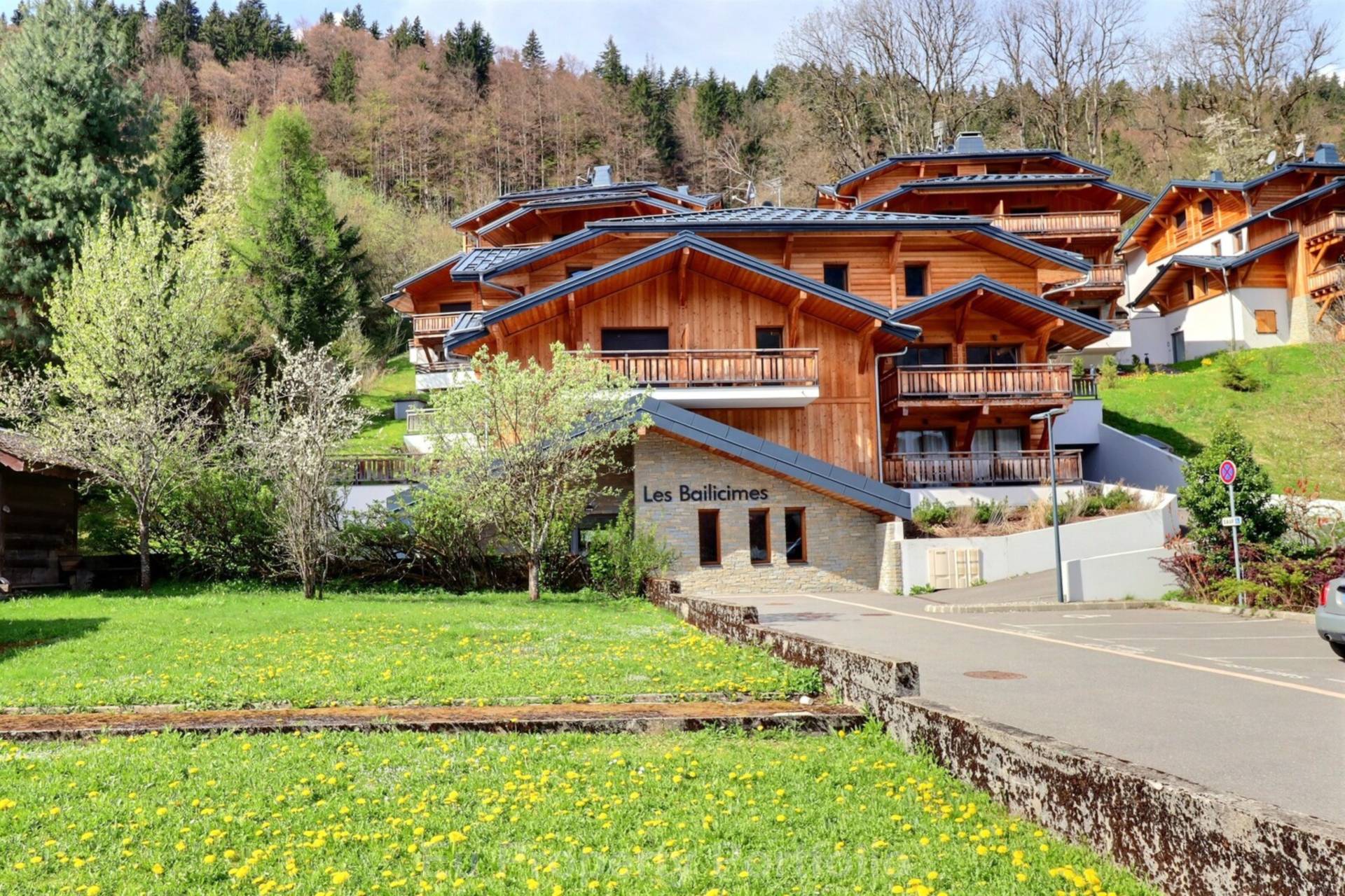 Morzine, Image 13