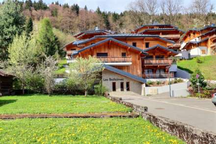 Morzine, Image 13