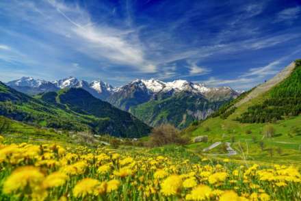 Quartier Des Bergers, Image 8