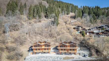 Montriond, Image 11