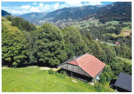 Praz Sur Arly, Image 4