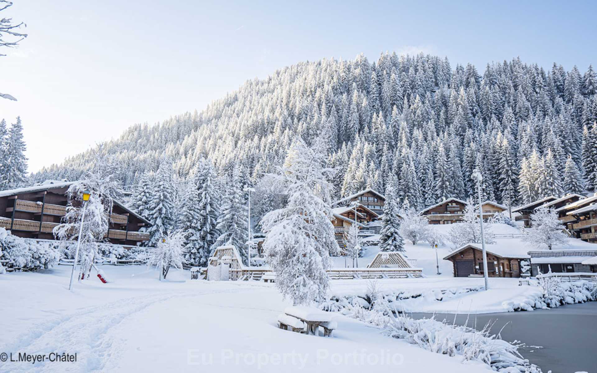 Chatel, Les Portes du Soleil, French Alps, Image 9