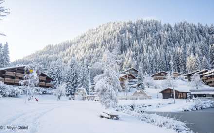 Chatel, Les Portes du Soleil, French Alps, Image 9