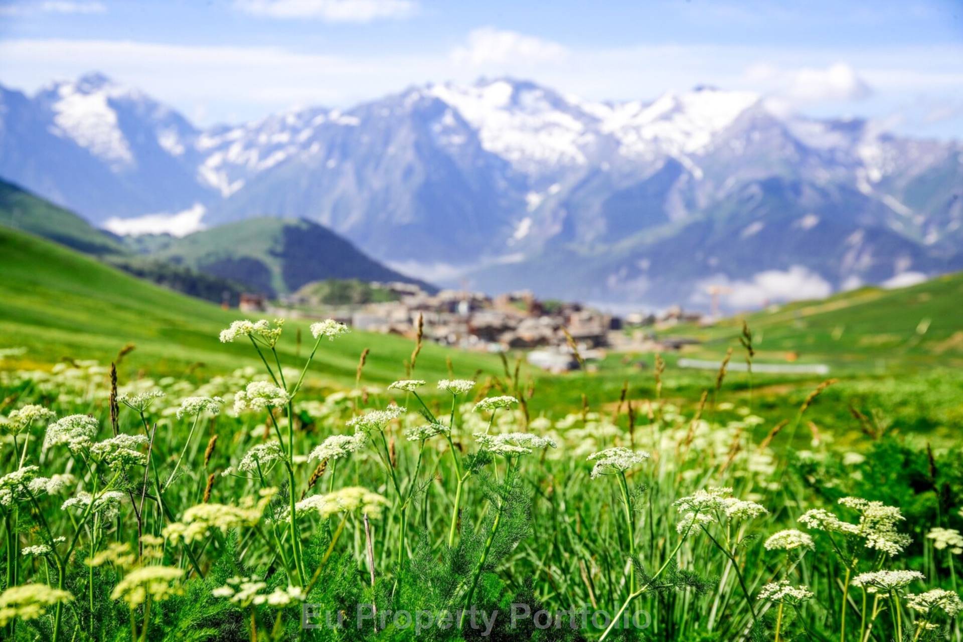 Vieil Alpe, Image 5