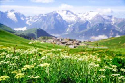 Vieil Alpe, Image 5