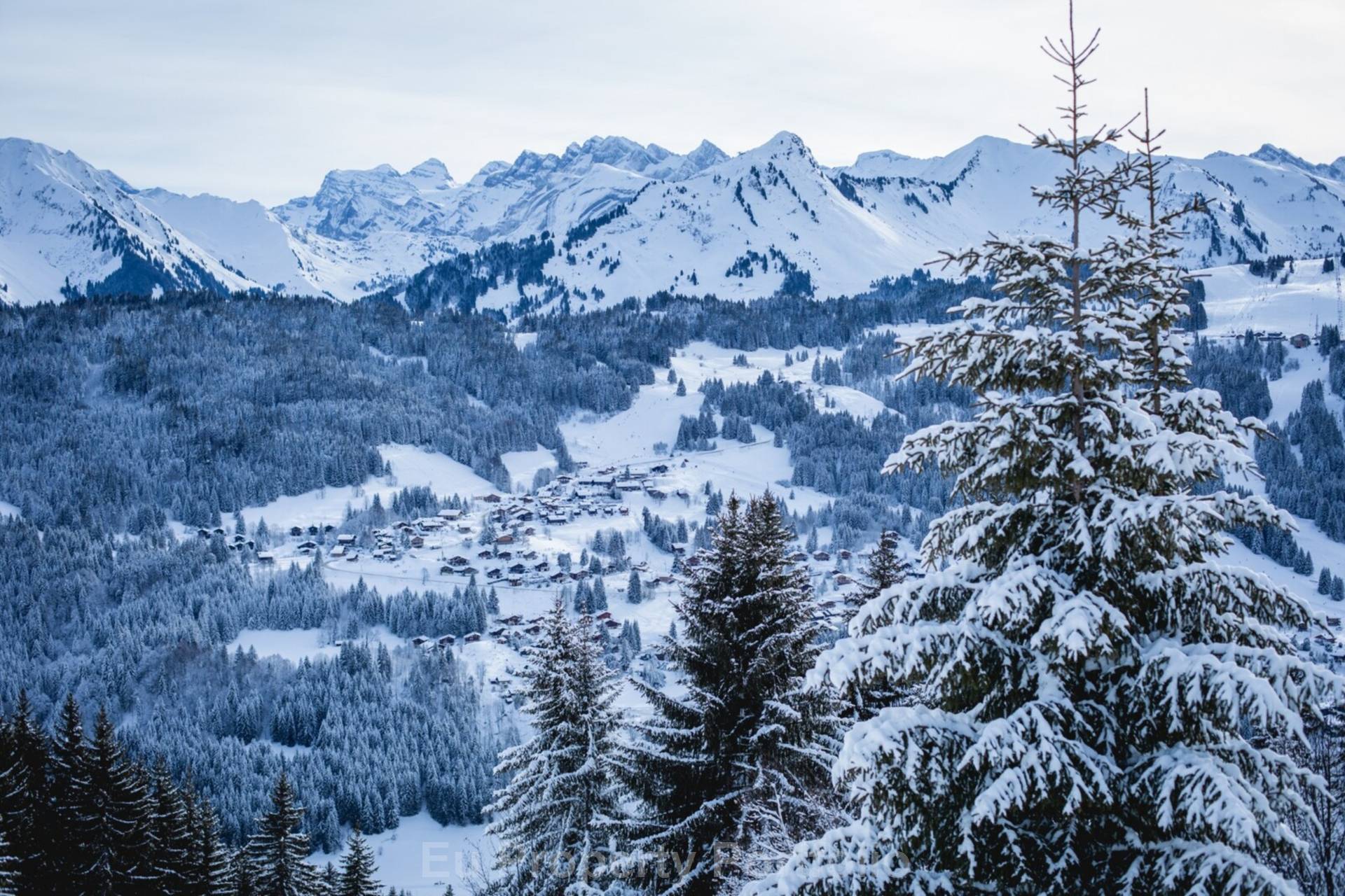 Mont-Chéry, Image 5