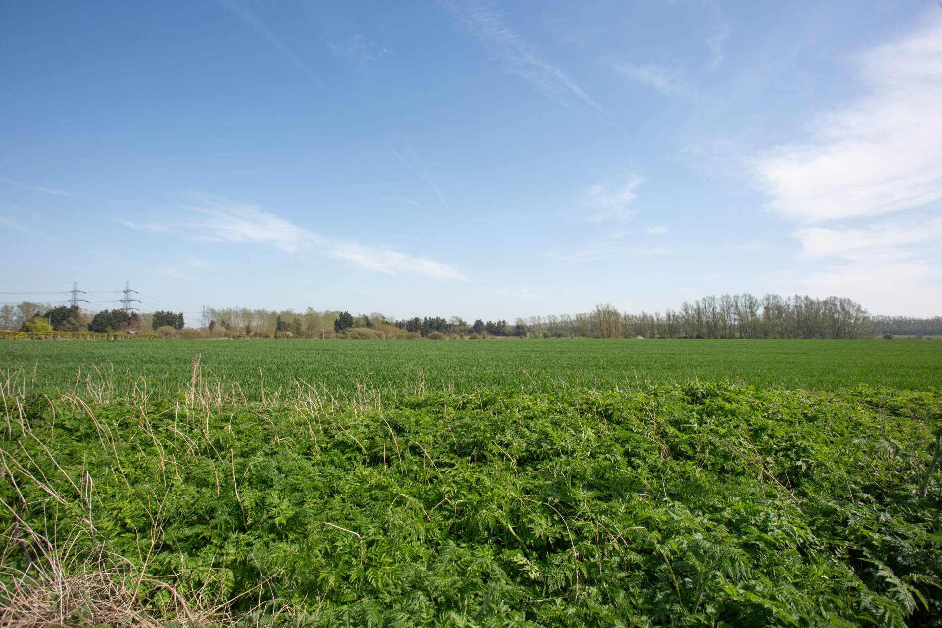 Church Cottages, Higham, Image 10