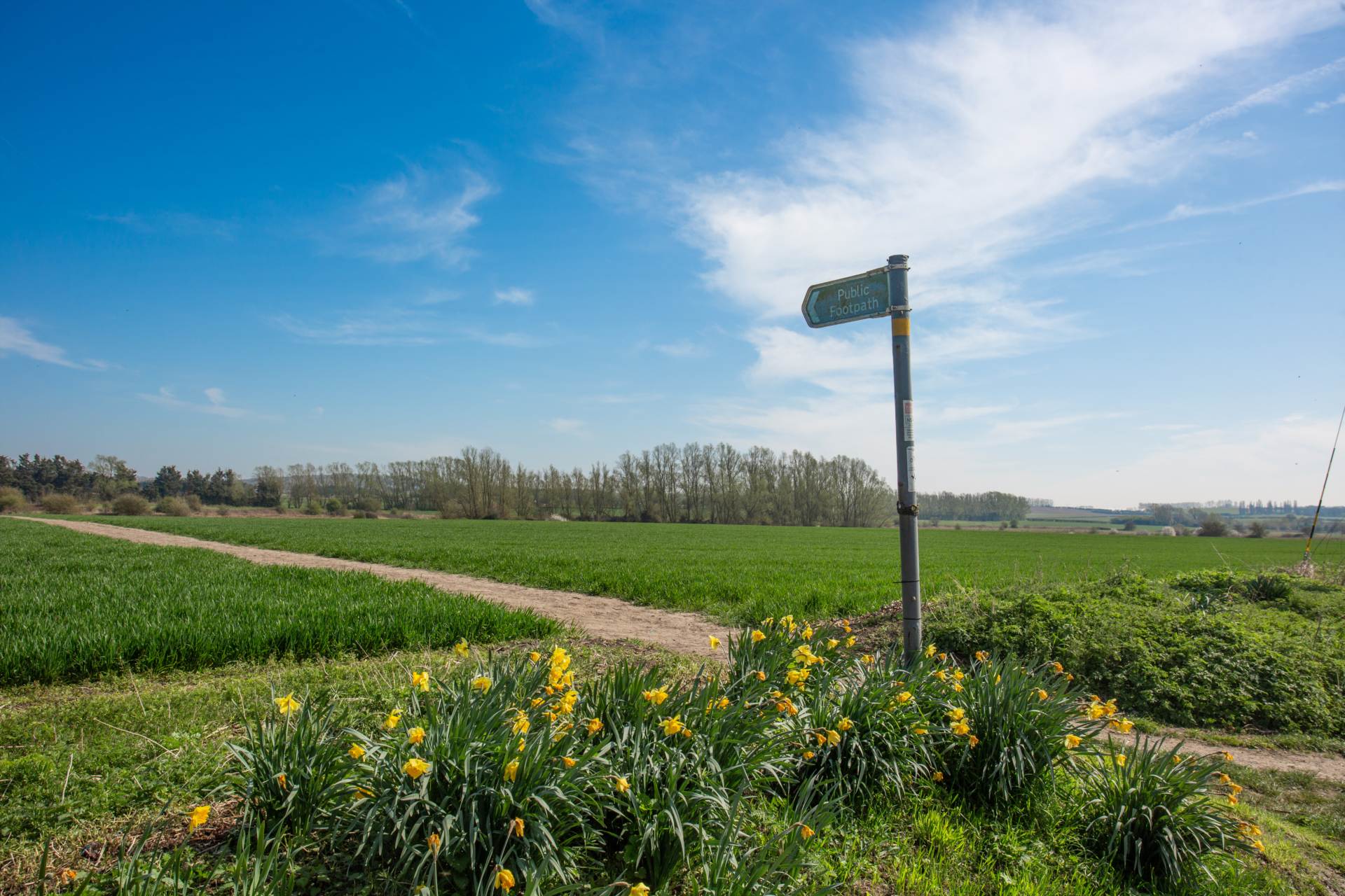 Church Cottages, Higham, Image 11