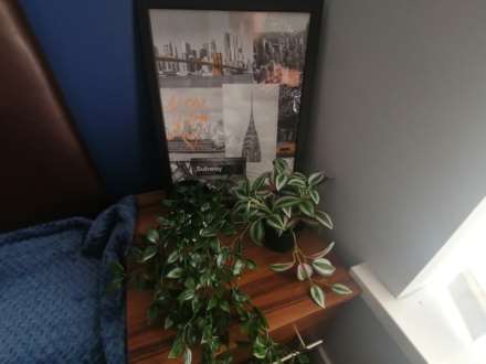 **EnSuite Room** Room 3, 8 Lockwood Road, Doncaster, Image 5