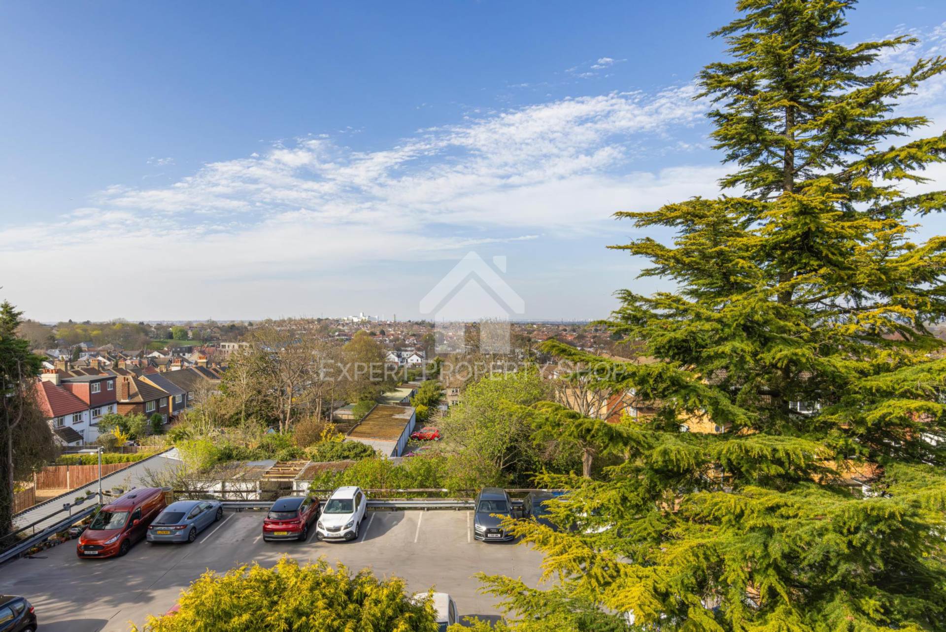 Carshalton Grove, Sutton, Image 14