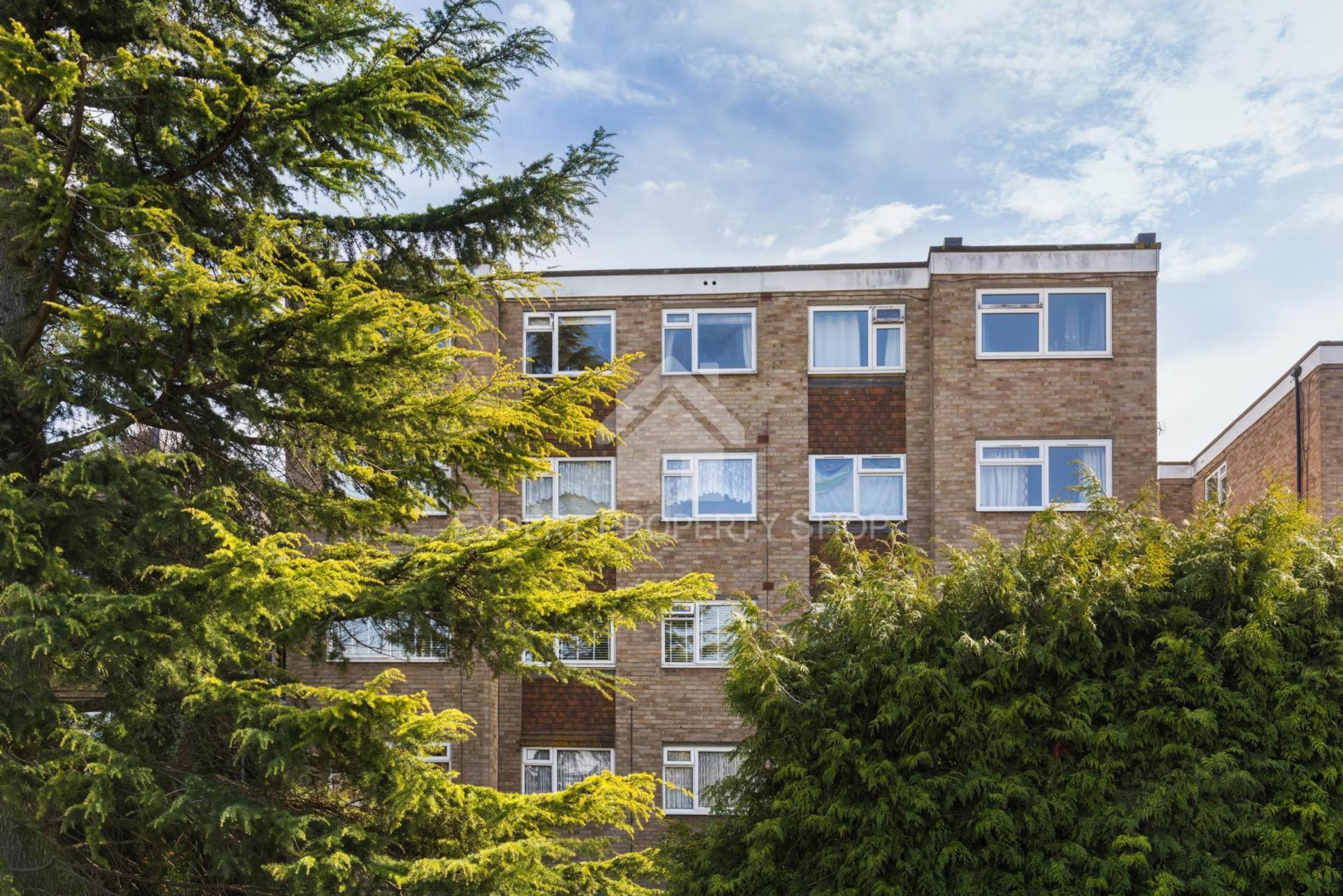 Carshalton Grove, Sutton, Image 2