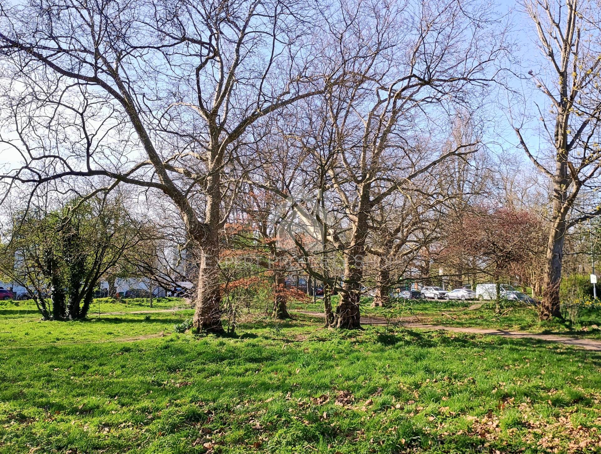 St. James Close, London, Image 8