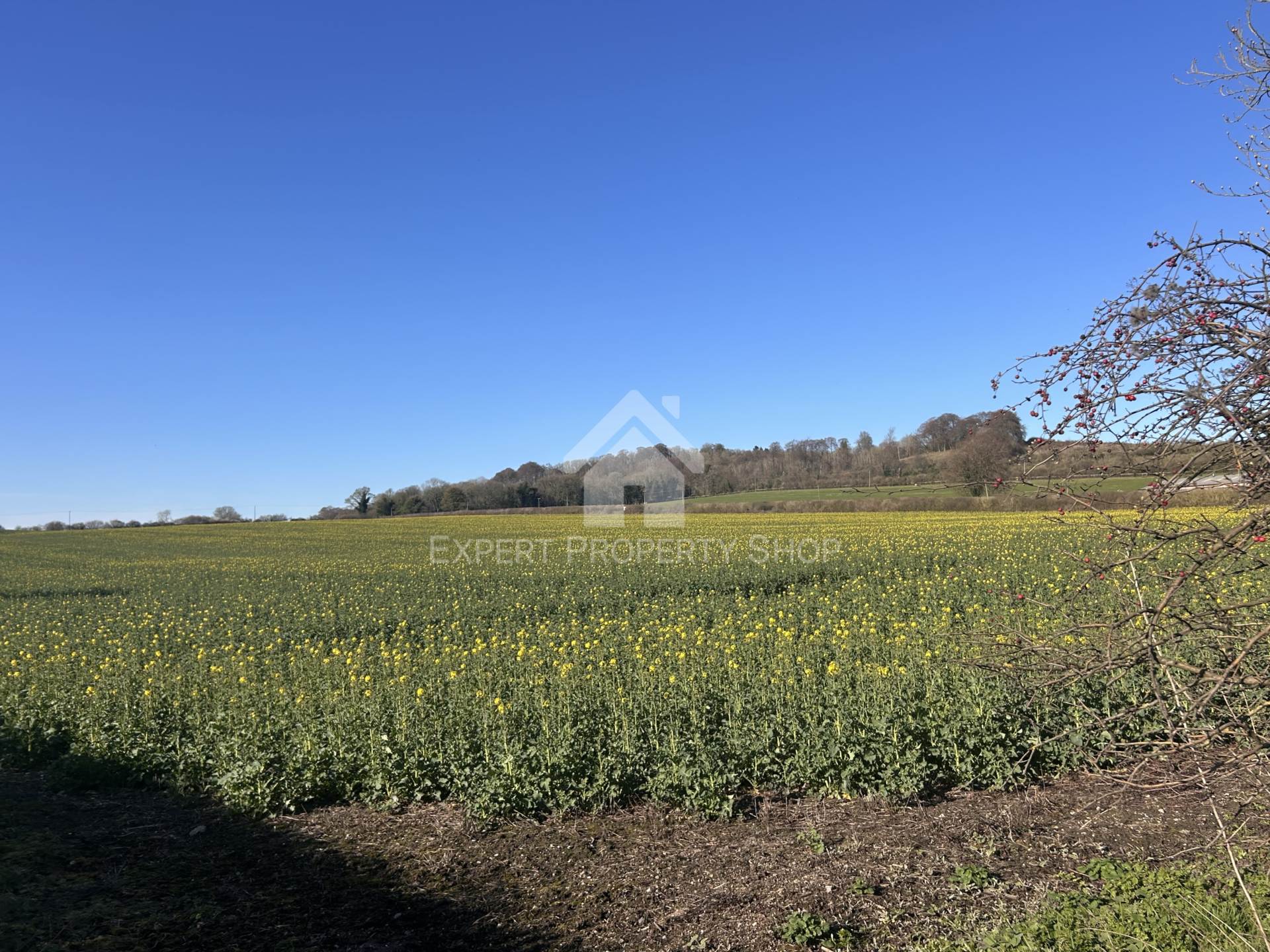Posting House, Tring Station, Image 13