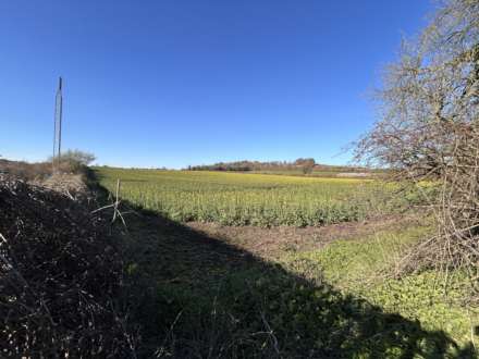 Posting House, Tring Station, Image 14