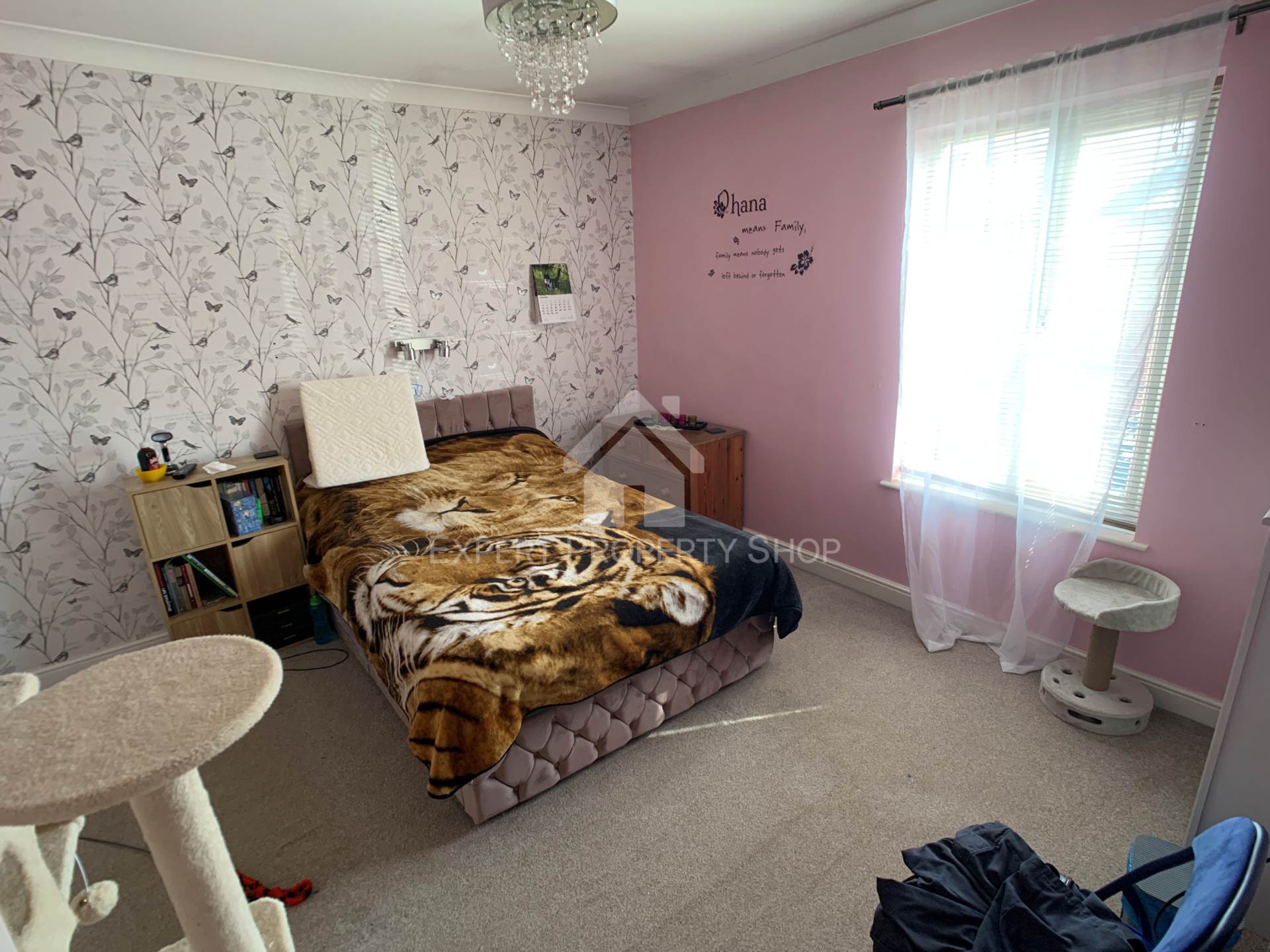 Lower Kenyon Street, Thorne, Image 6