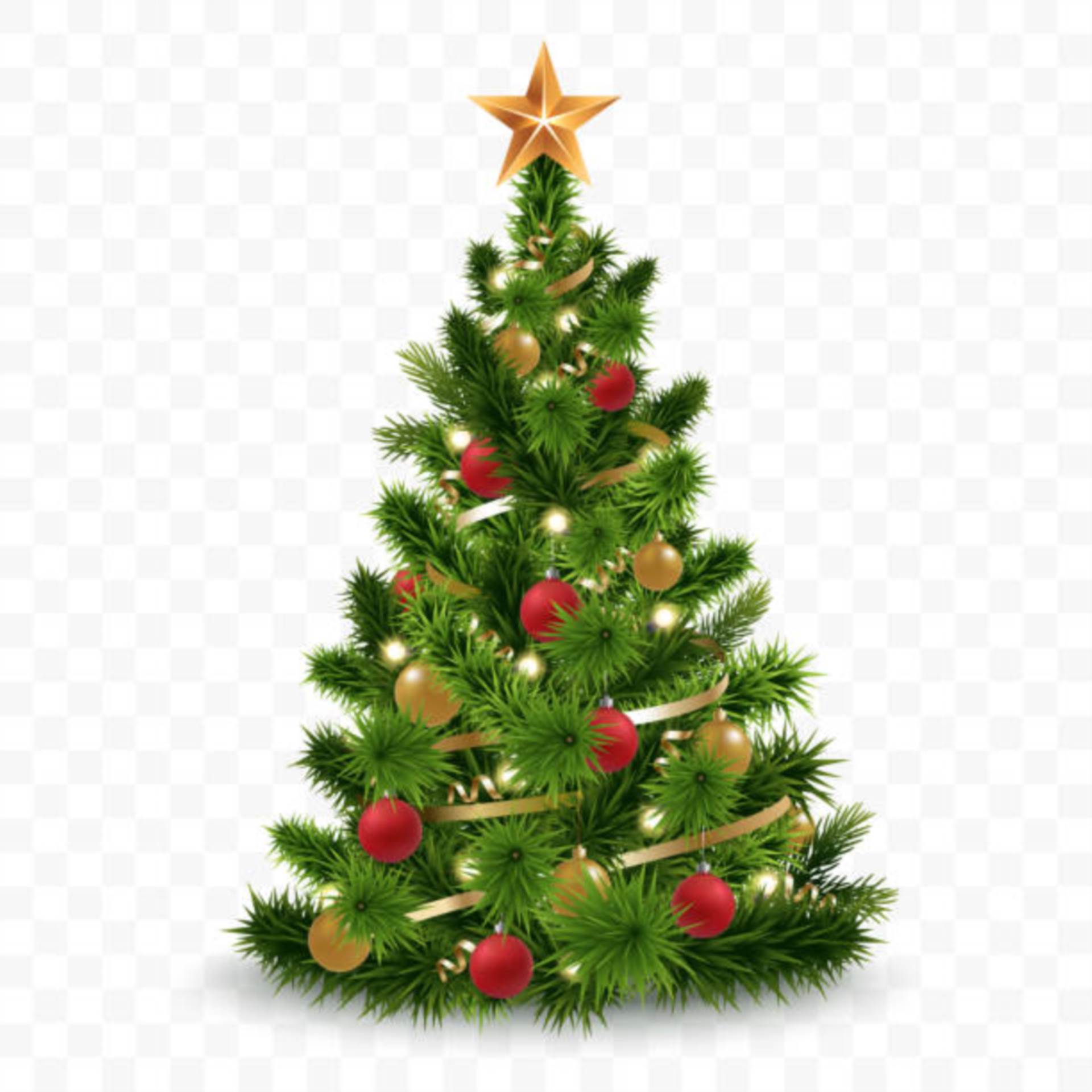 2024 - 2025 Christmas Opening Hours!