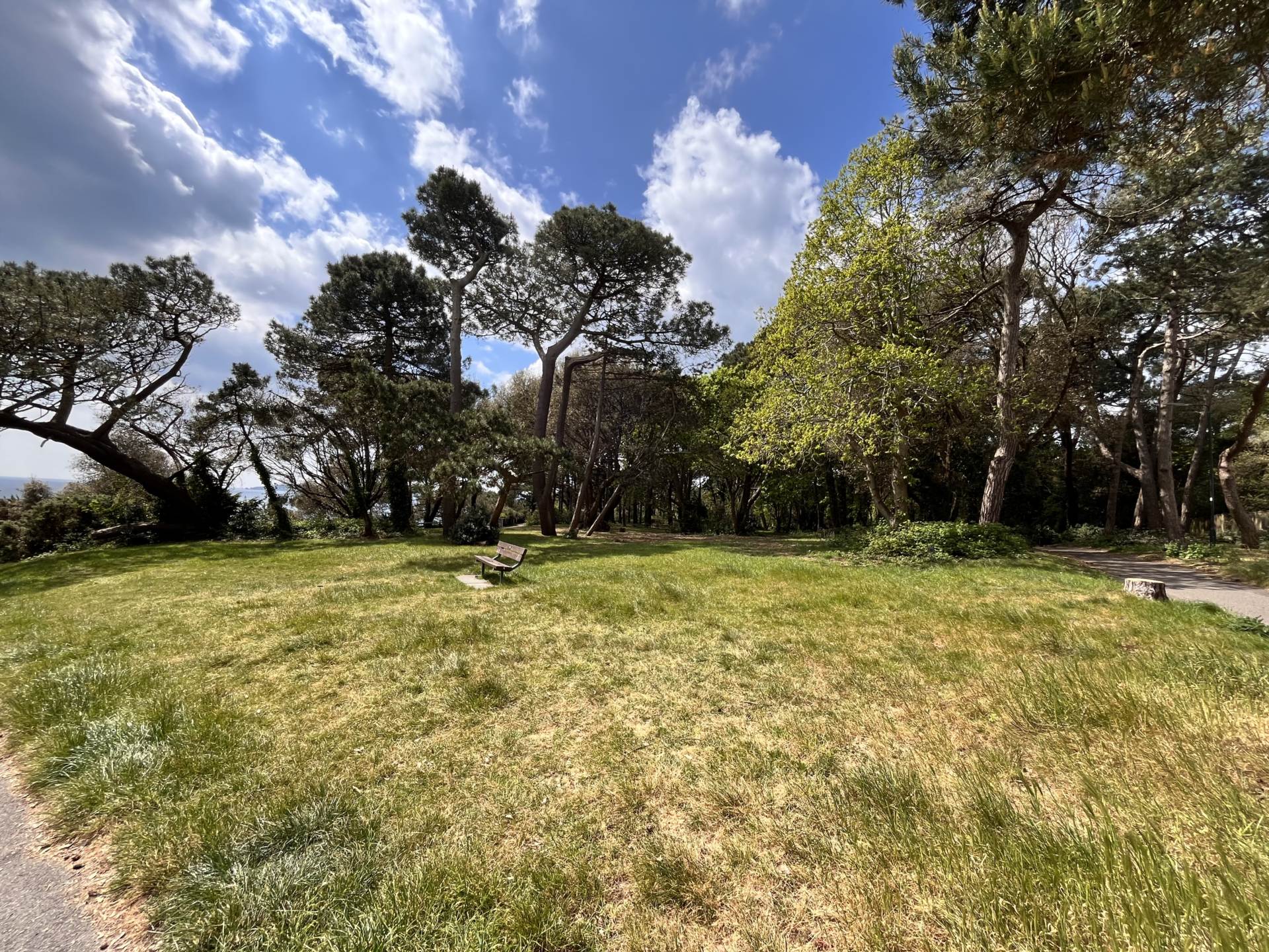 Westcliff * Furnished Studio *, Image 11
