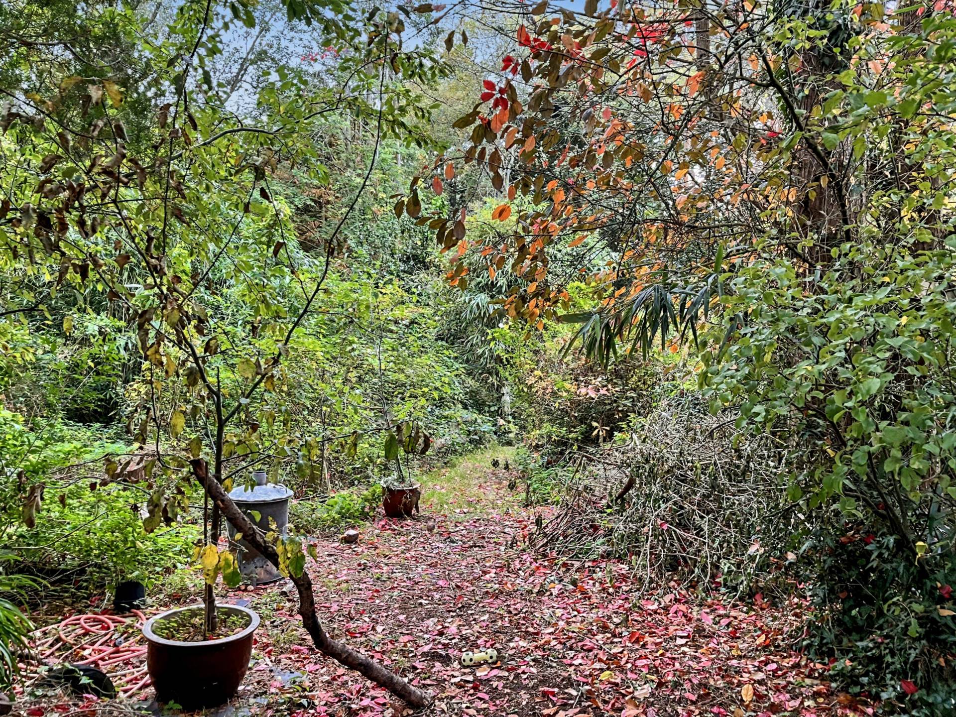 Hurn Road, Christchurch, Image 10