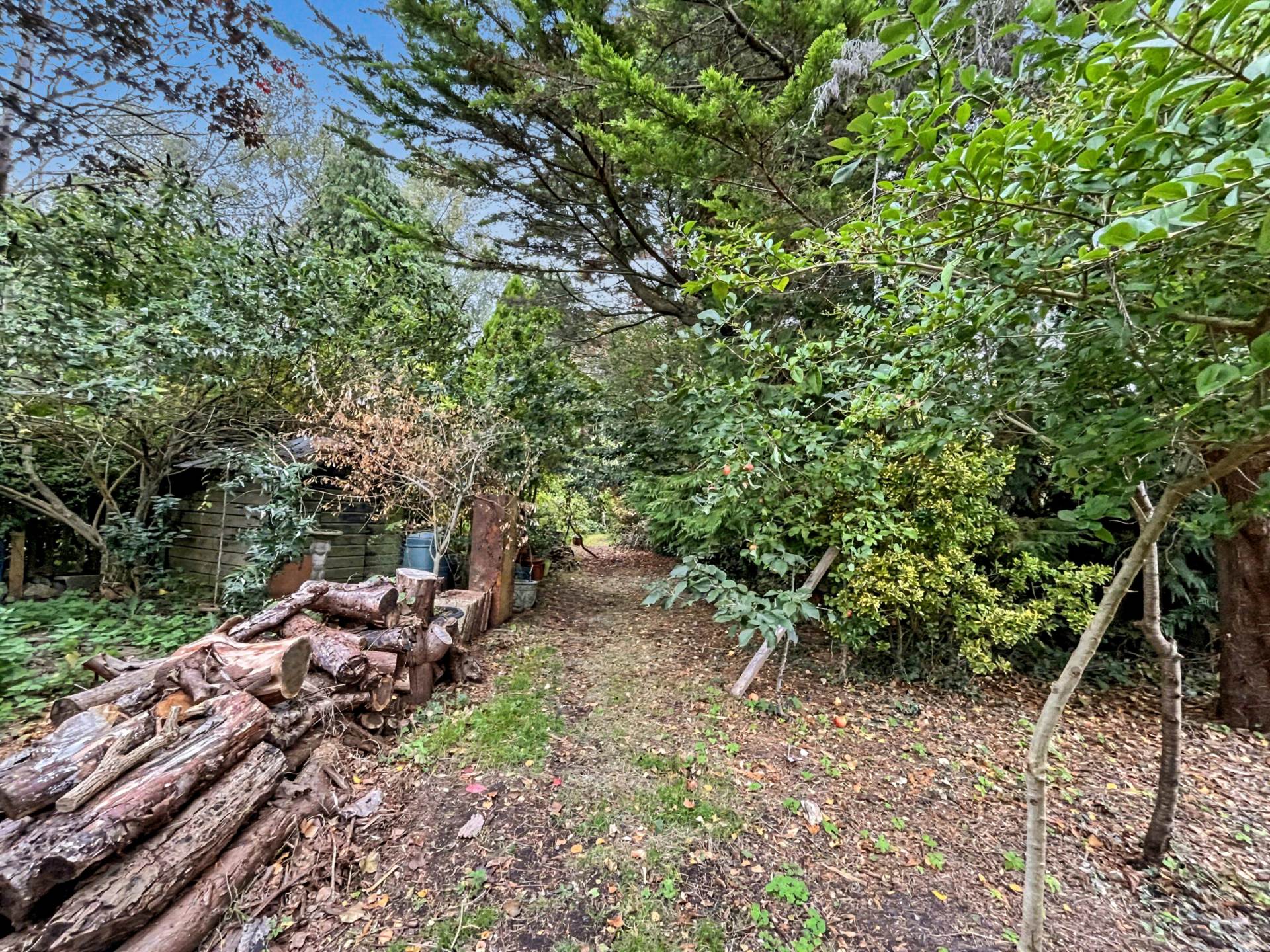 Hurn Road, Christchurch, Image 26