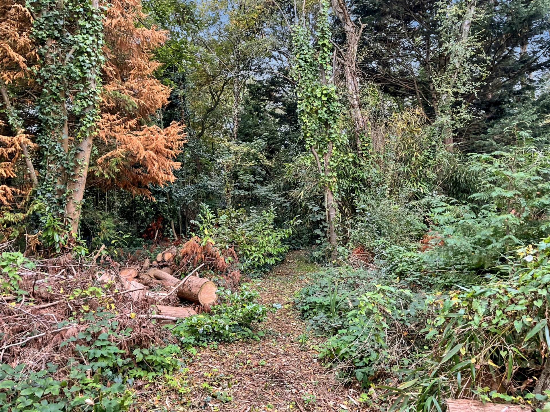 Hurn Road, Christchurch, Image 30