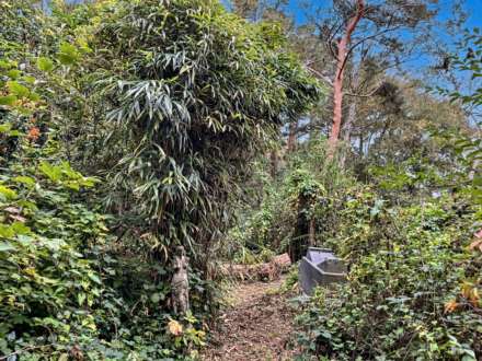 Hurn Road, Christchurch, Image 29