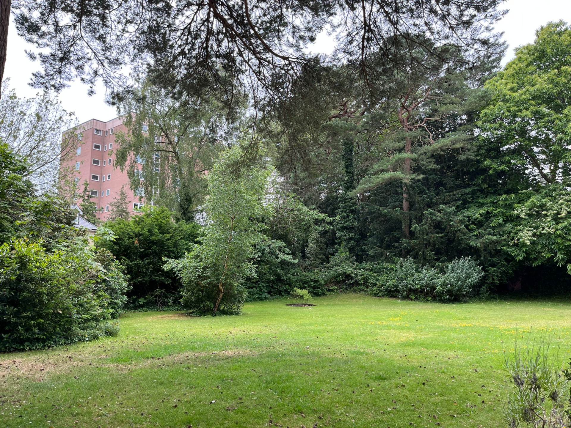 Knyveton Road, Bournemouth, Image 10