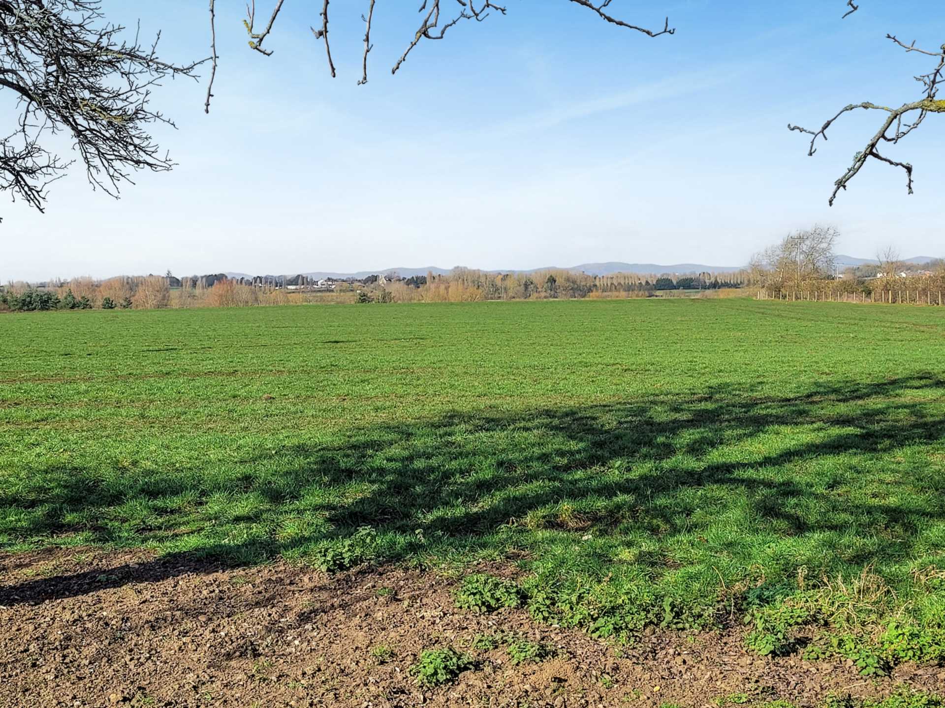 Bredons Hardwick, Tewkesbury, Gloucestershire, Image 3