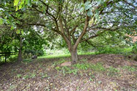 Rock Street, Chaceley, Gloucestershire, Image 16