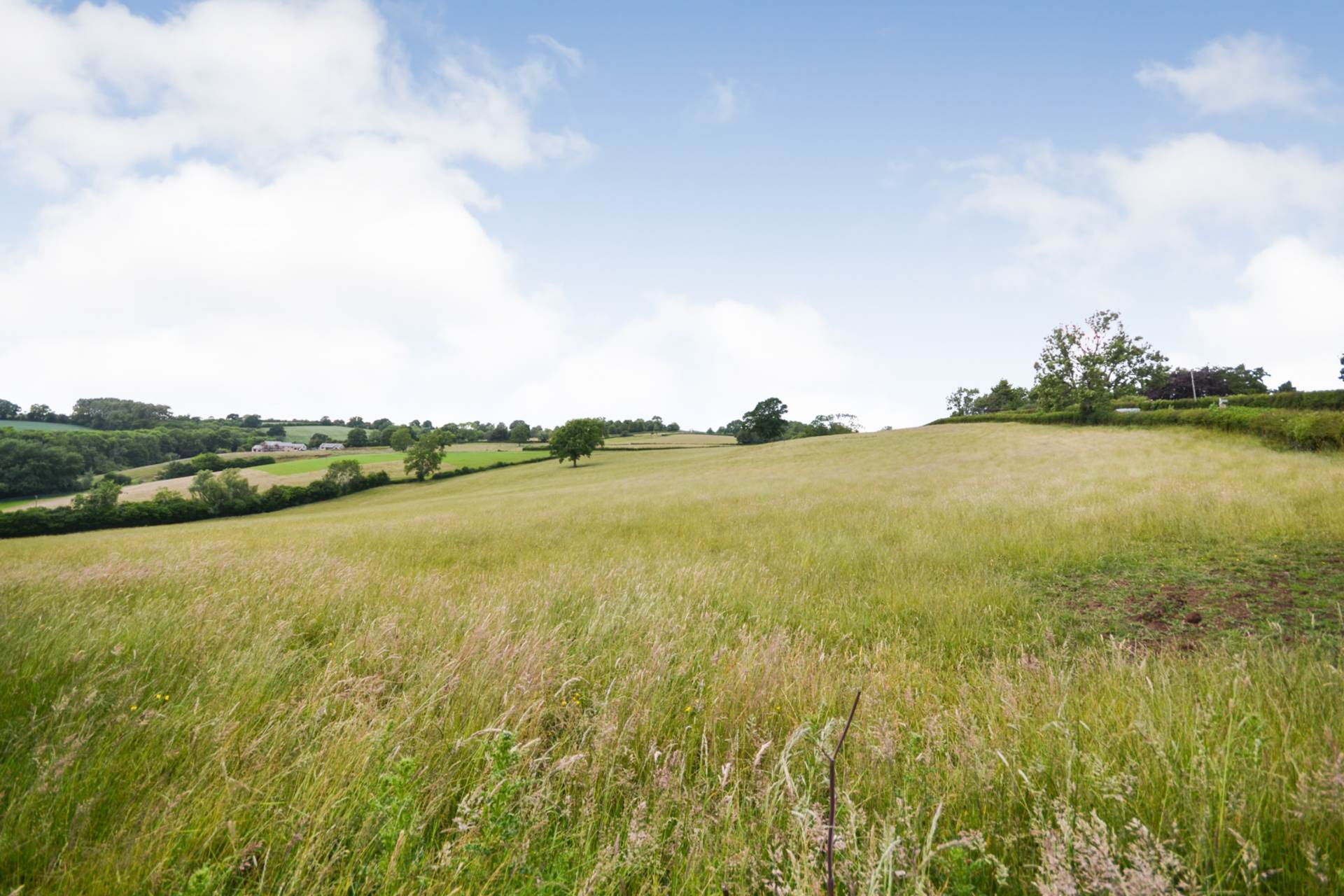 Batchfields, Bishop's Frome, Worcestershire, Image 2