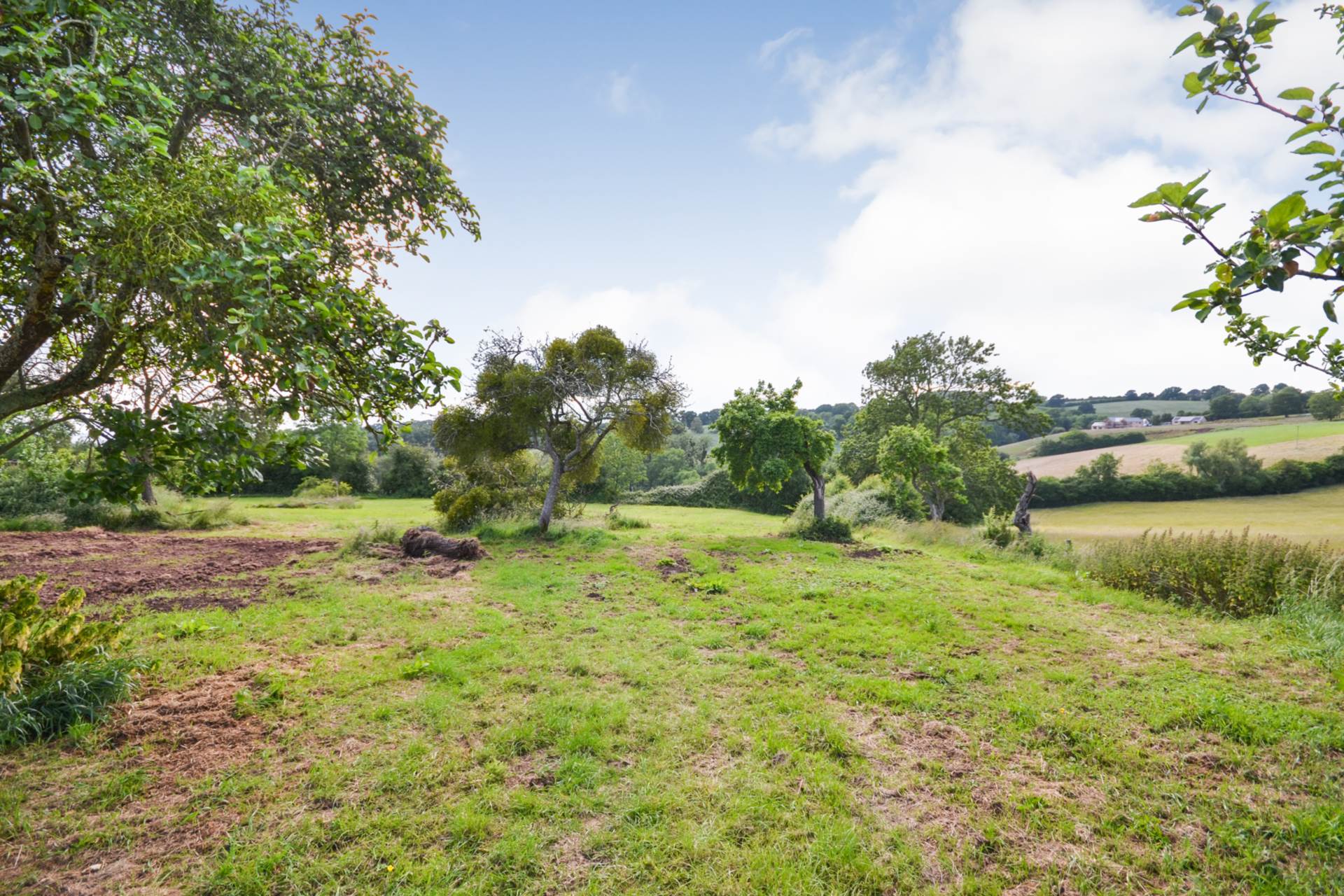 Batchfields, Bishop's Frome, Worcestershire, Image 42
