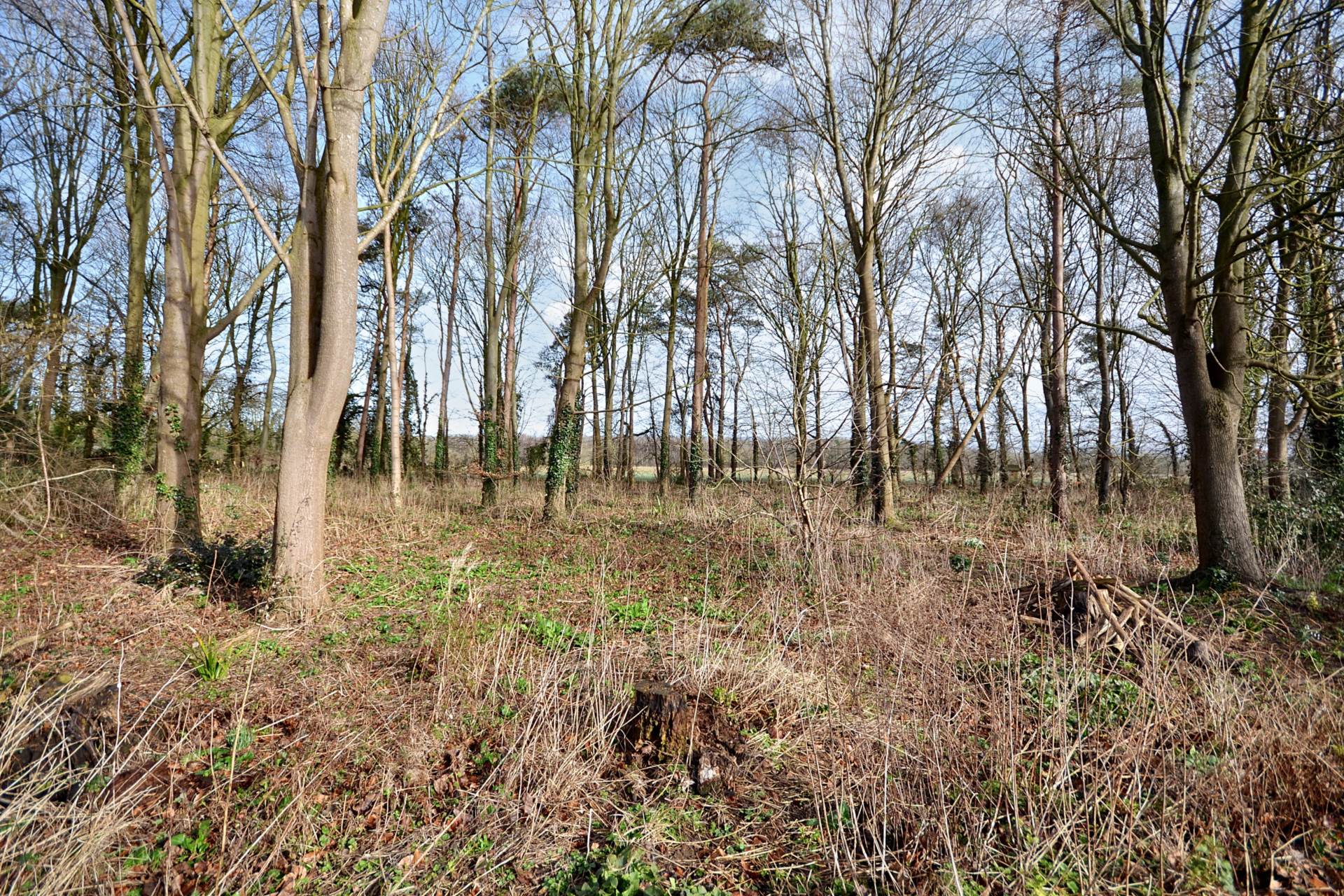 Cheltenham Road, Kinsham, Tewkesbury, Gloucestershire, Image 31