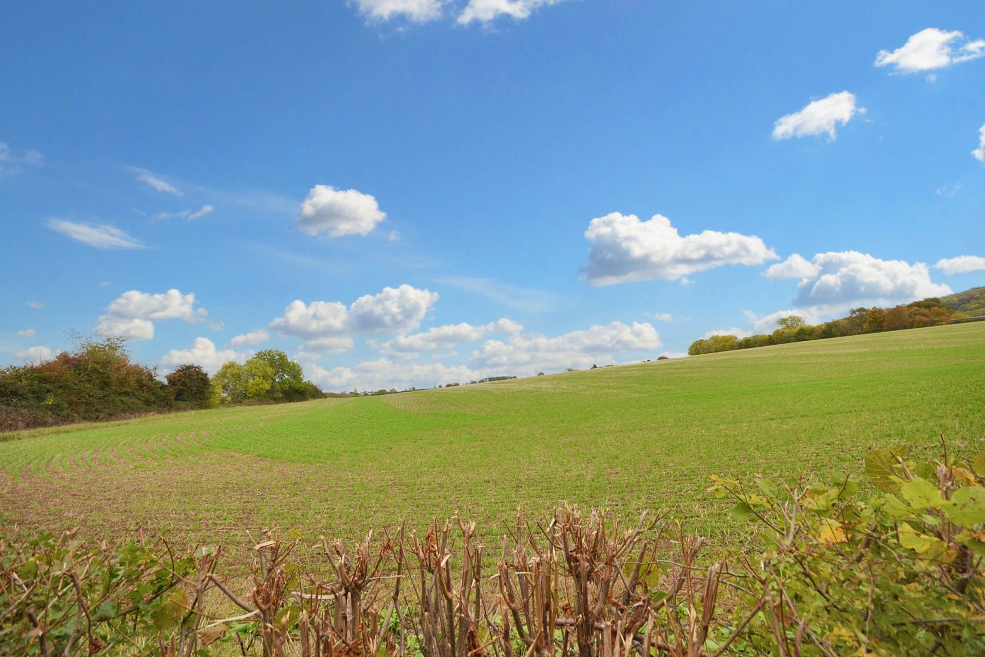 Bredon's Norton, Tewkesbury, Gloucestershire, Image 31