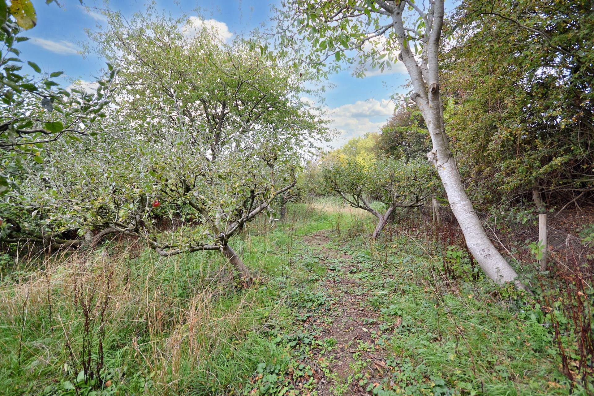 Bredon's Norton, Tewkesbury, Gloucestershire, Image 35