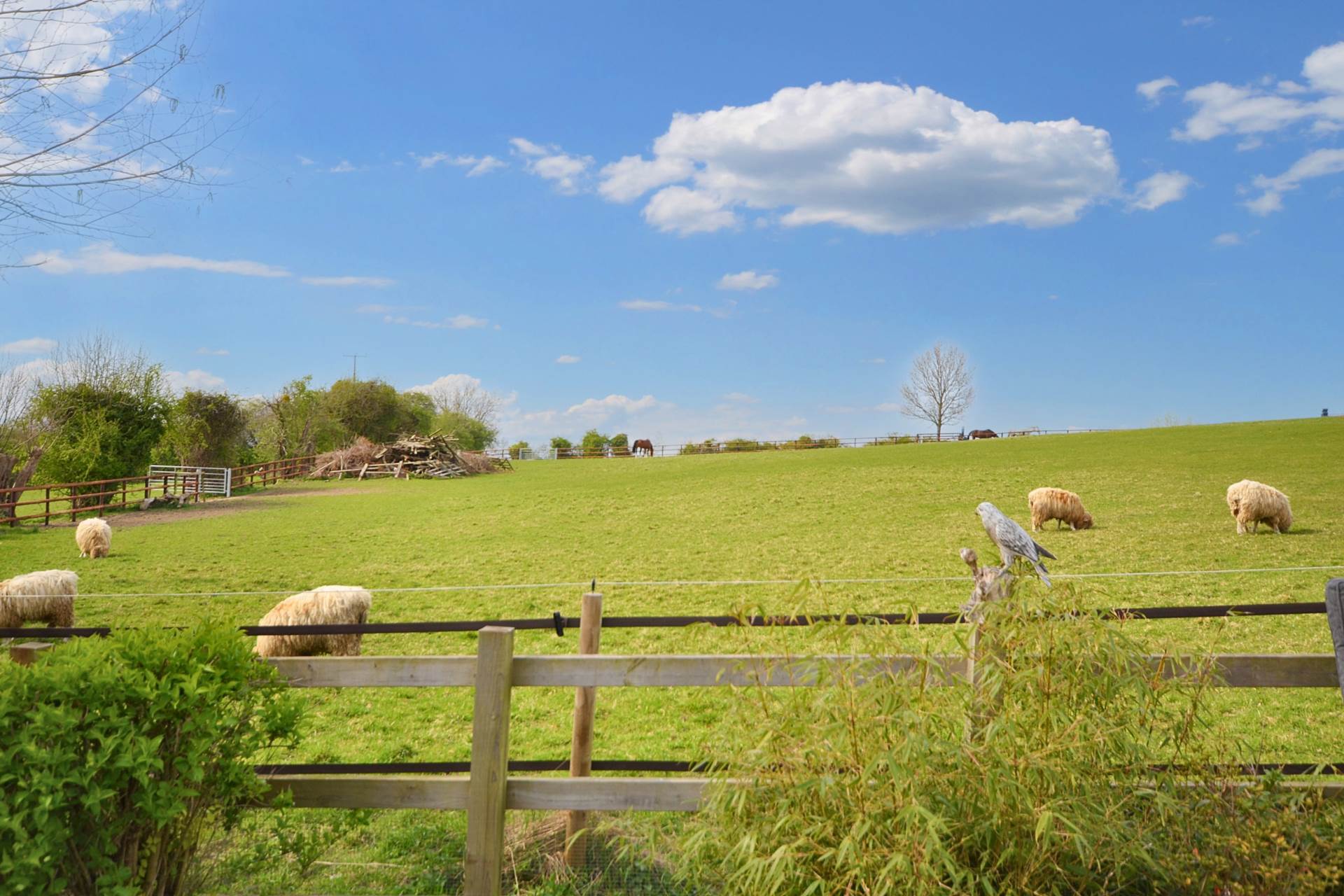 Westmancote, Tewkesbury, Gloucestershire, Image 2