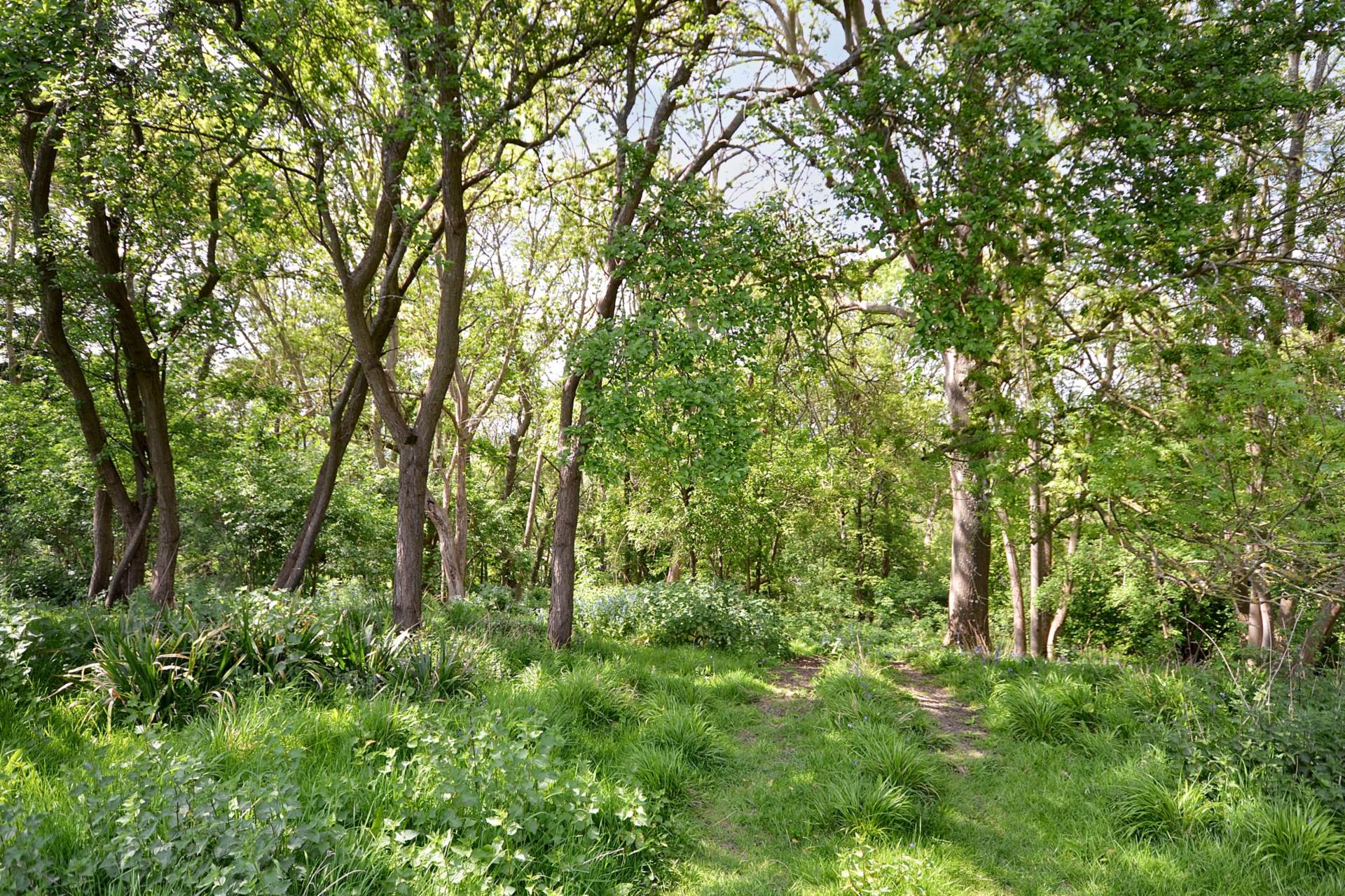 Great Comberton, Pershore, Worcestershire, Image 48