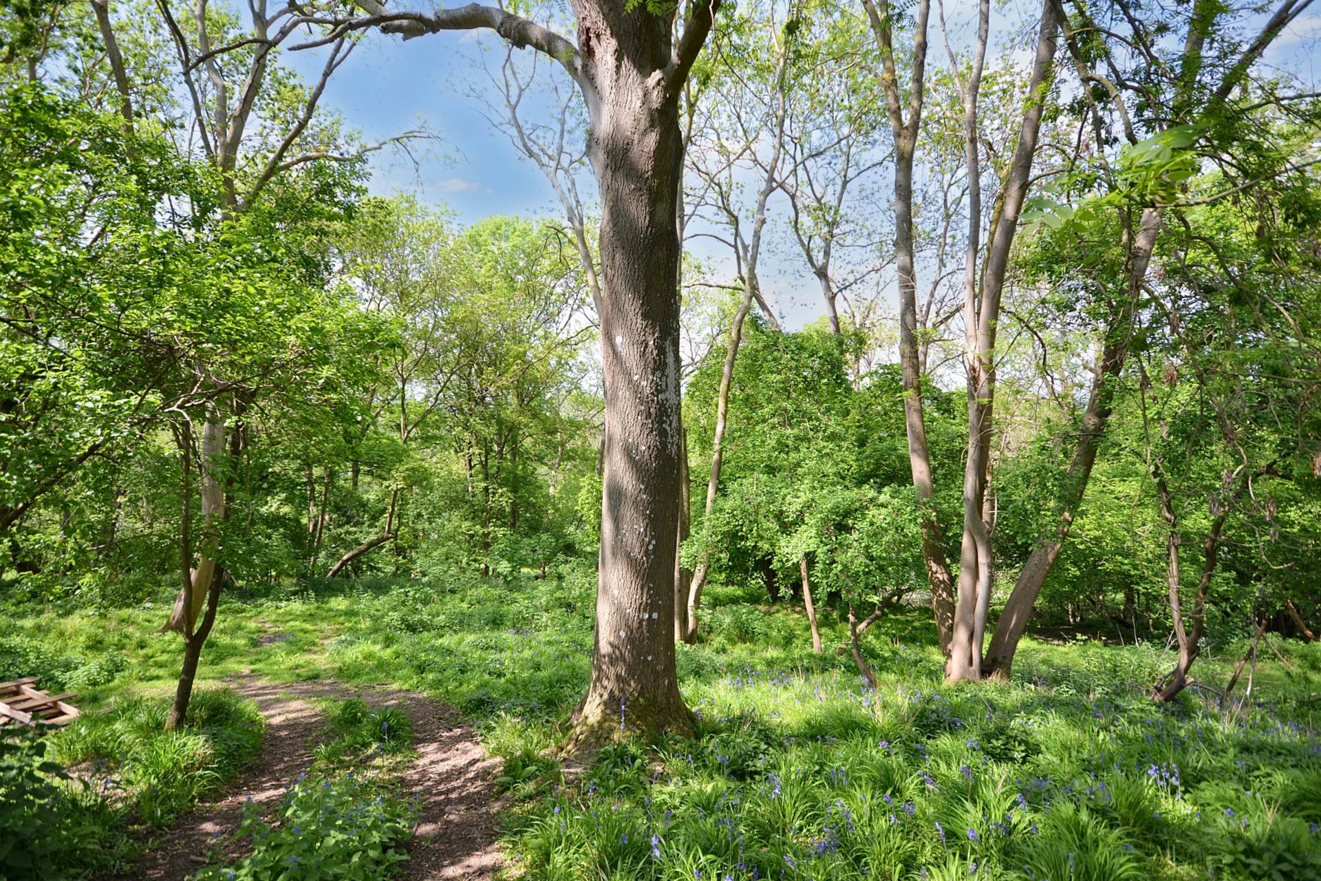 Great Comberton, Pershore, Worcestershire, Image 49