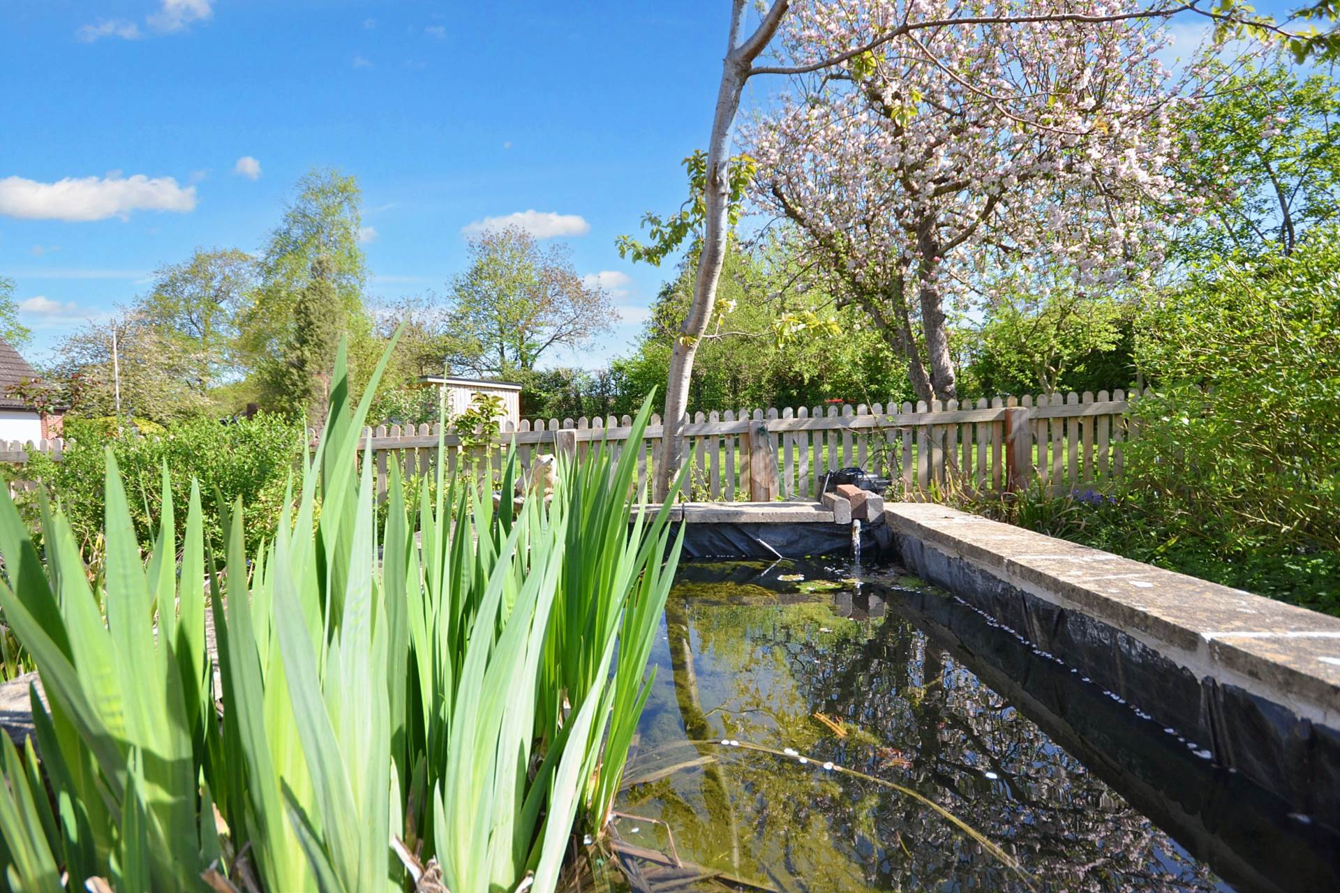 Equestrian Property with Land, Stable Block and 40m x 20m arena, Image 13