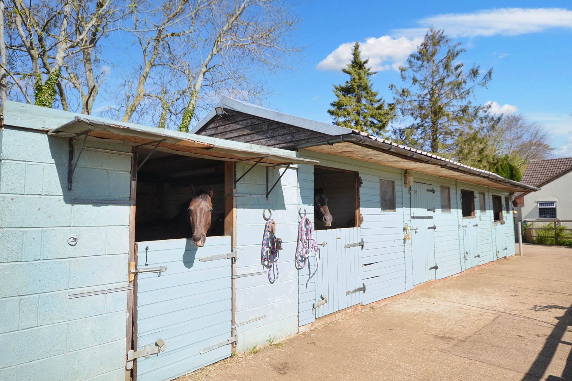 Equestrian Property with Land, Stable Block and 40m x 20m arena, Image 42