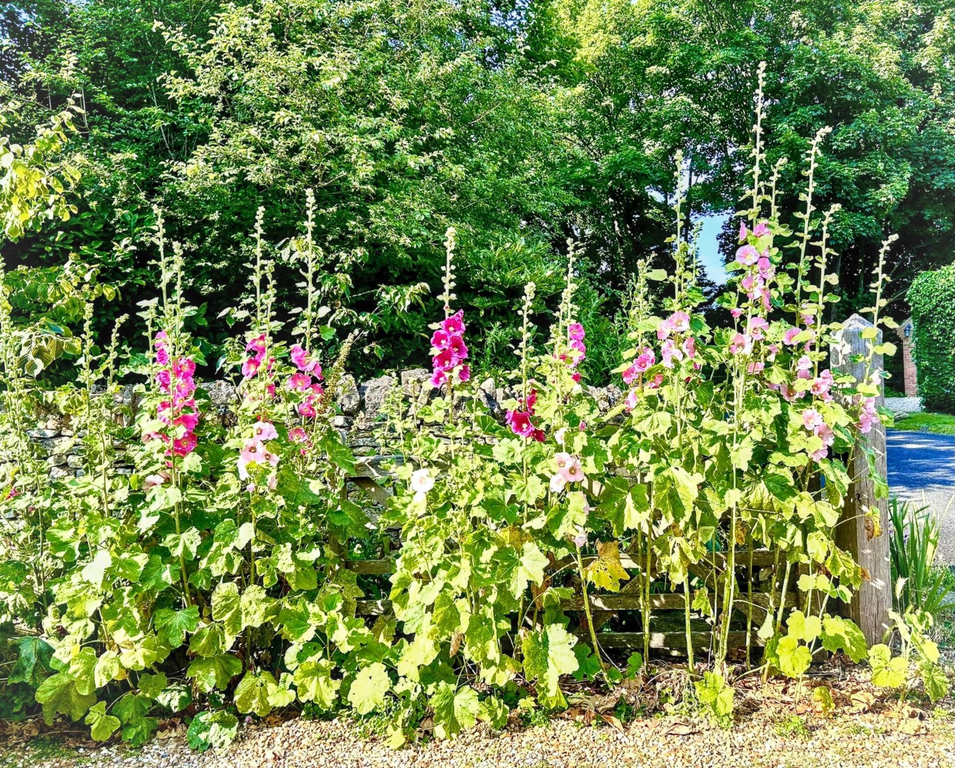 Birlingham, Pershore, Worcestershire, Image 11