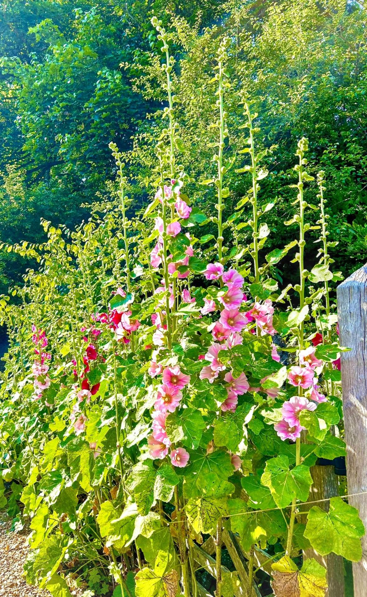 Birlingham, Pershore, Worcestershire, Image 21