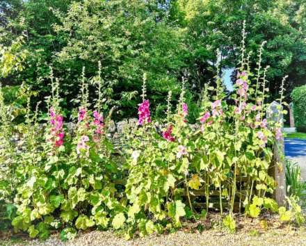 Birlingham, Pershore, Worcestershire, Image 11