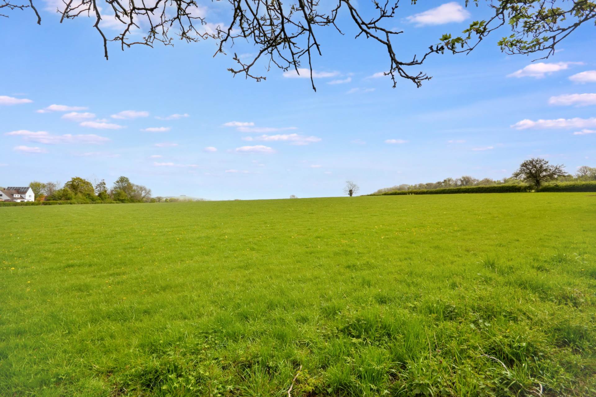 Quarry Close, Hartpury, Gloucestershire, Image 16