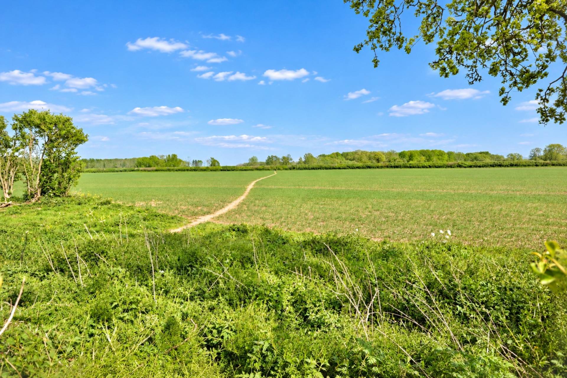 Kinsham, Tewkesbury, Gloucestershire, Image 2