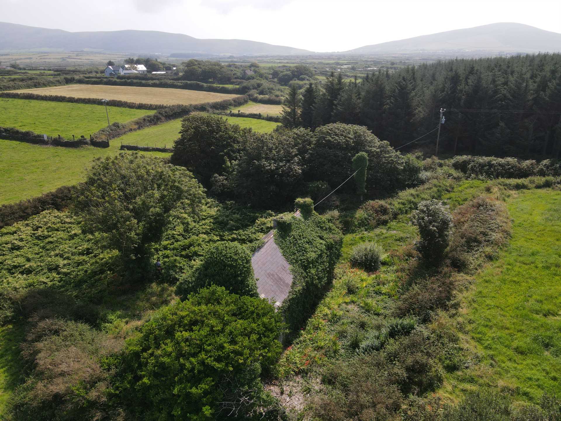 Ballineanaigh, Ballyferriter, Image 7