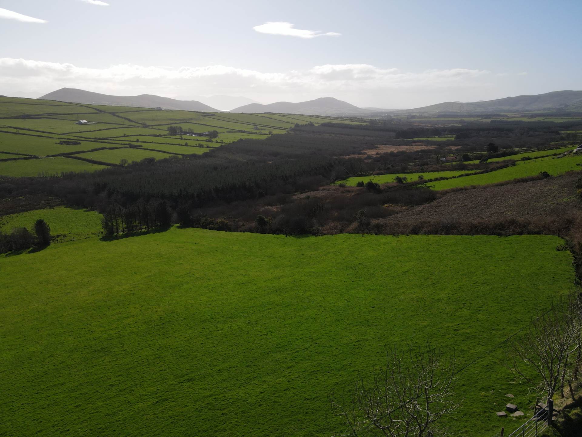 Kilduff, Annascaul, Image 10