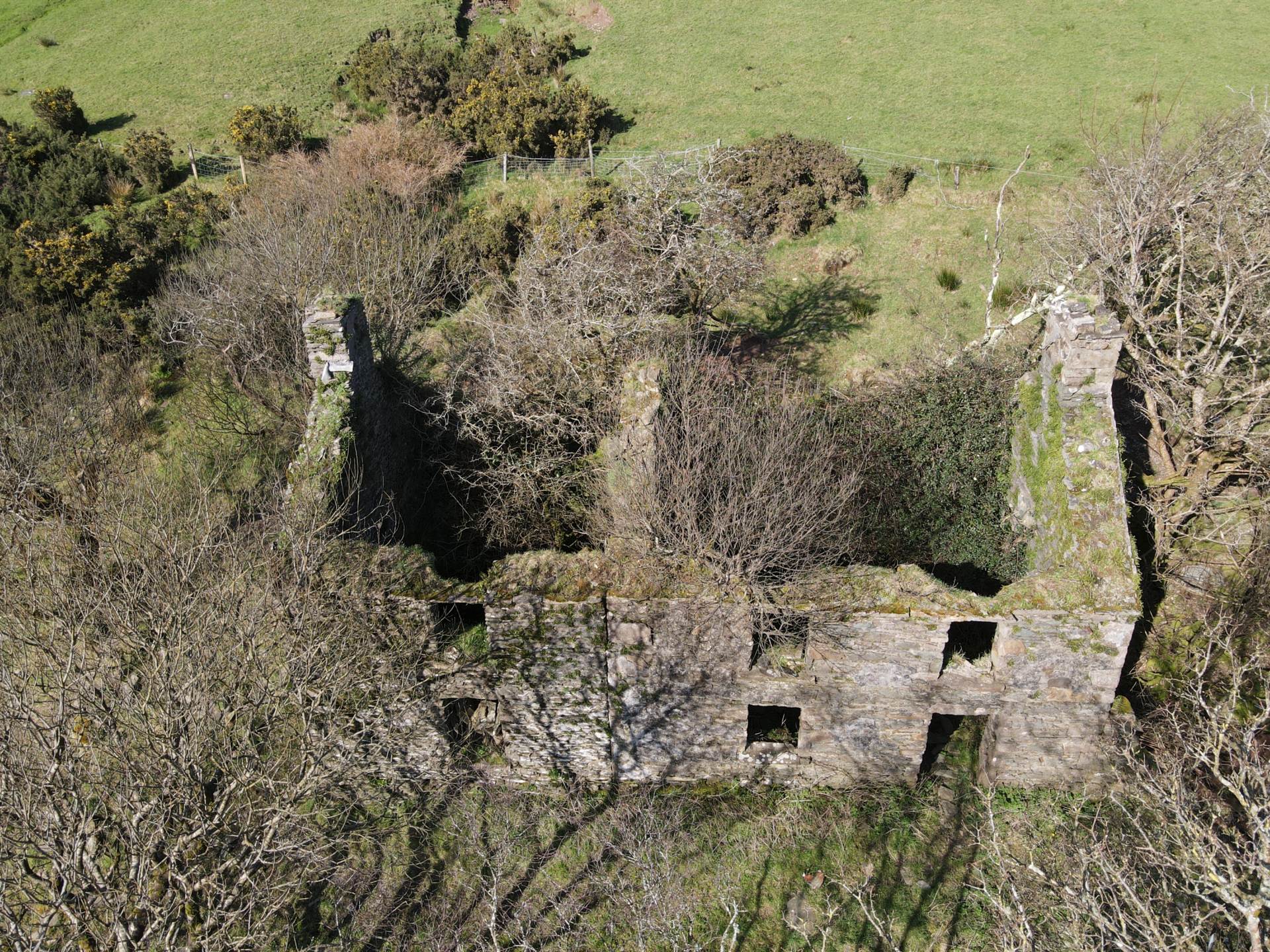 Kilduff, Annascaul, Image 3