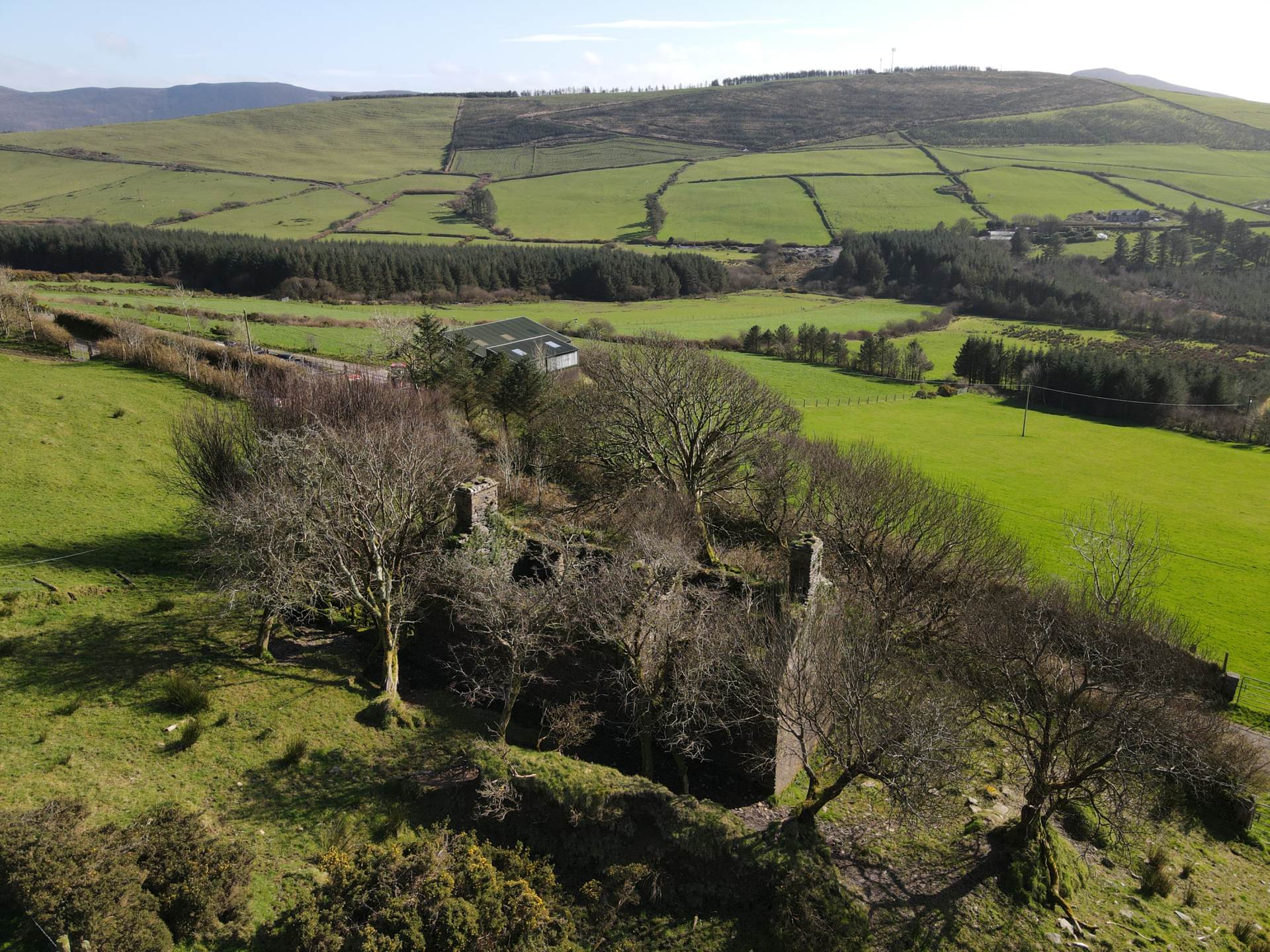 Kilduff, Annascaul, Image 5