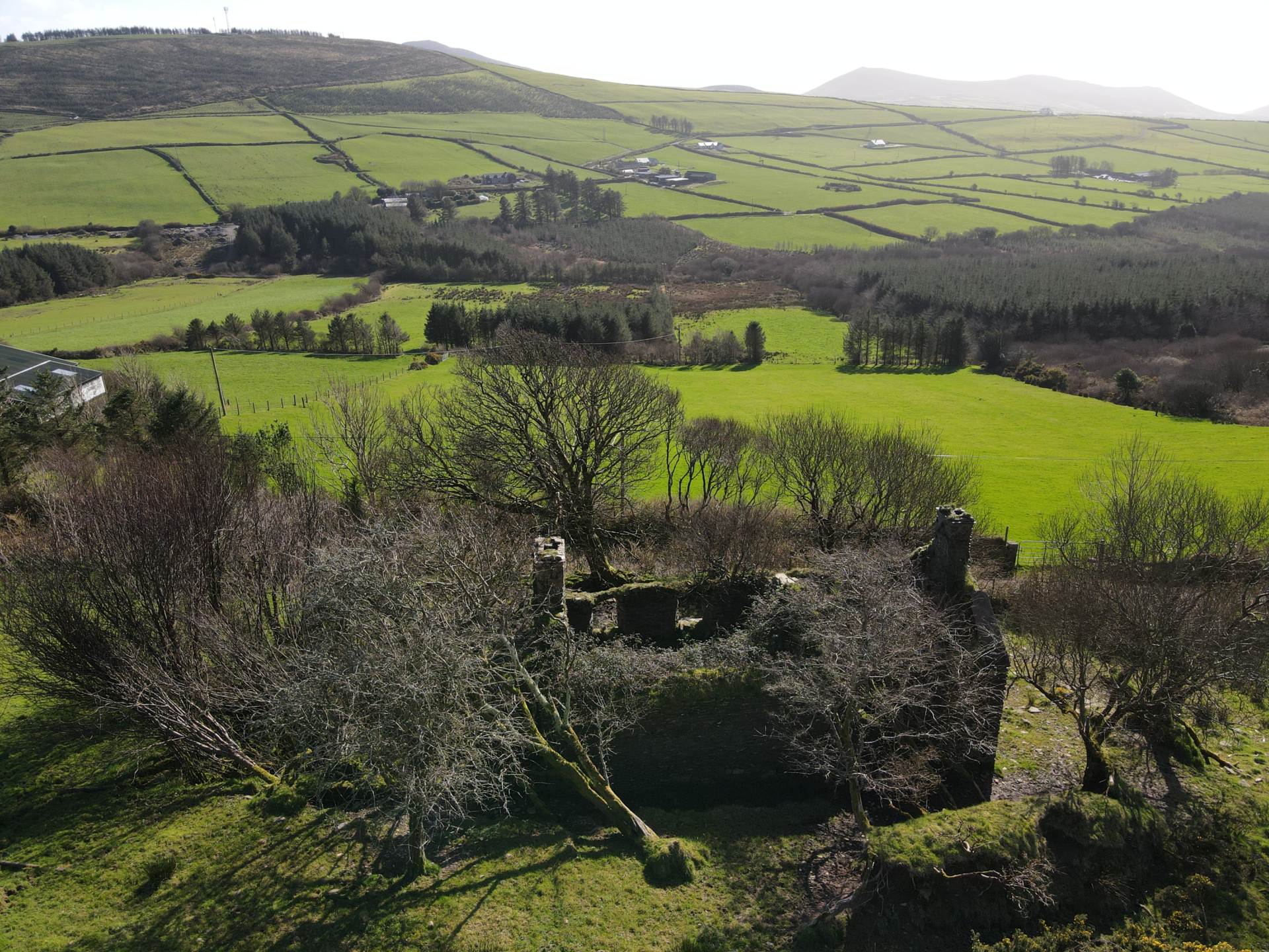 Kilduff, Annascaul, Image 6