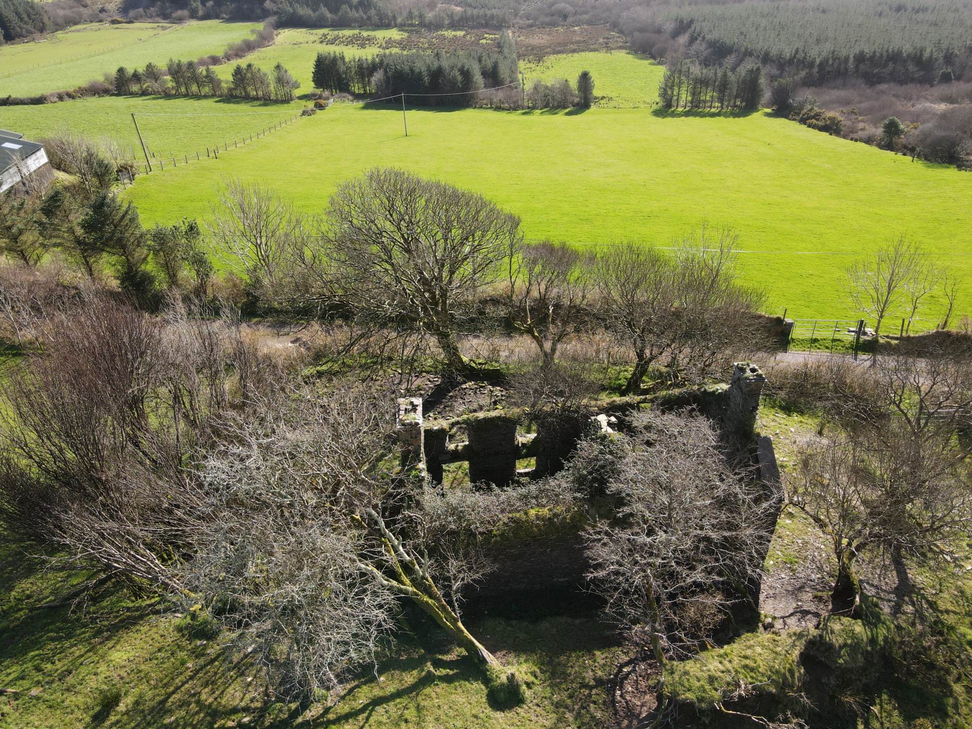 Kilduff, Annascaul, Image 7